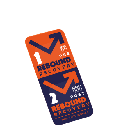 Rebound Recovery Pack