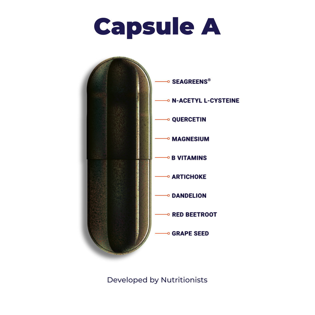 Rebound Recovery Pack