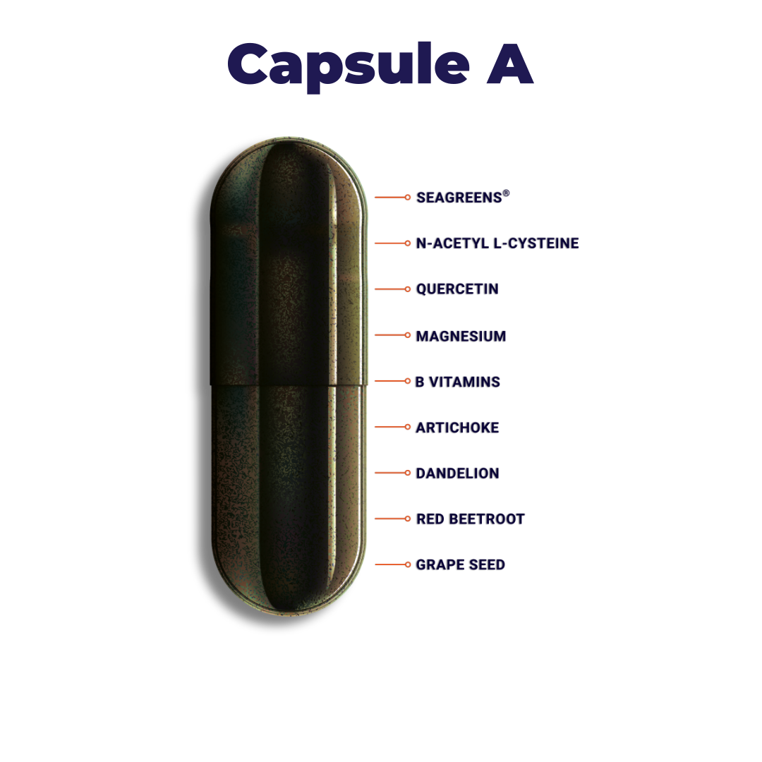 Rebound Recovery Pack