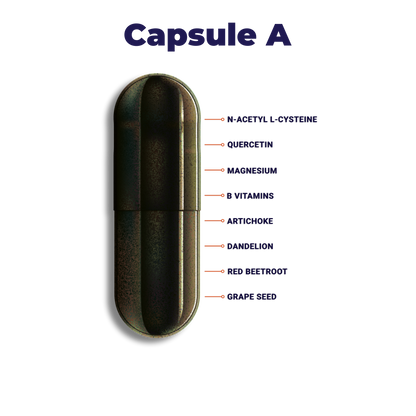 Rebound Recovery Pack
